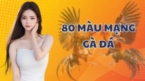 80 màu mạng Gà Đá - Cẩm nang từ A đến Z cho dân sành gà chọi