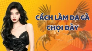 Cách làm da gà chọi dày an toàn, hiệu quả của sư kê AE888