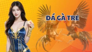 Đá Gà Tre – Sức hút lớn đến từ giống chiến kê nhỏ mà có võ