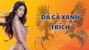 Đá gà xanh trích là gì? Bí ẩn của giống chiến kê đầy cuốn hút