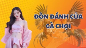 Bí kíp xem đòn đánh của Gà Chọi nhận diện chiến kê tại AE888