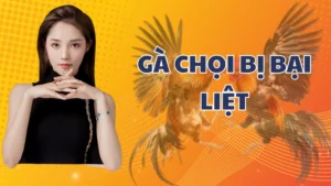 Nguyên nhân khiến Gà Chọi bị bại liệt và cách khắc phục đúng