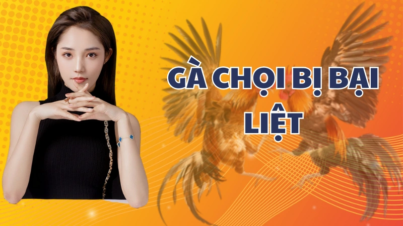 Nguyên nhân khiến Gà Chọi bị bại liệt và cách khắc phục đúng