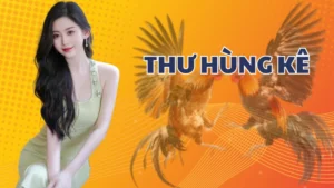 Thư Hùng Kê – Bí mật dòng chiến kê mạnh mẽ và kiêu hùng