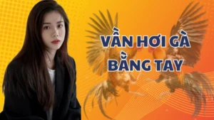 Cách vần hơi gà bằng tay hiệu quả, bí kíp rèn chiến kê đỉnh cao