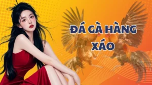 Đá Gà Hàng Xáo: Khám phá hình thức độc đáo và kịch tính